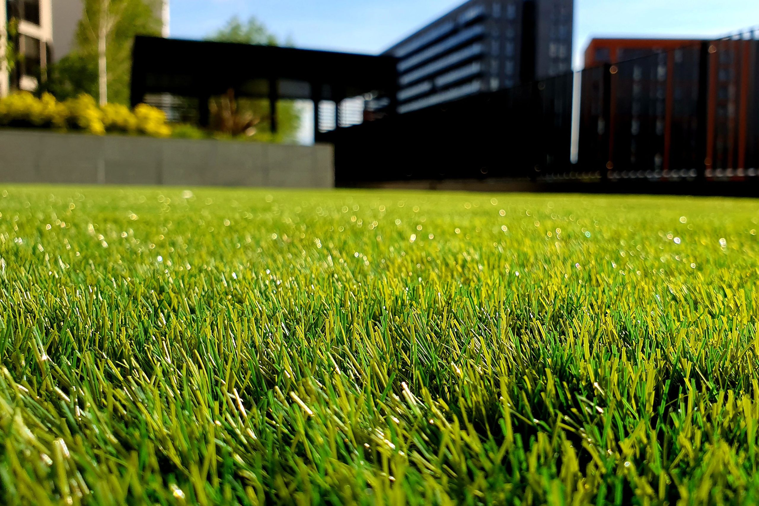 Well-maintained, lush green lawn expertly cared for by Honeycutt Landscaping, Inc., enhancing the beauty and health of residential and commercial outdoor spaces. Call (704) 389-0159 today to schedule professional lawn maintenance and landscaping services with Honeycutt Landscaping, Inc., your trusted local outdoor care specialists.