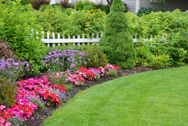 Lovely garden border featuring a variety of well-maintained plants and flowers surrounding a neatly manicured lawn—expertly created and cared for by Honeycutt Landscaping, Inc. Enhance your outdoor space with professional garden design and lawn care. Call (704) 389-0159 today to schedule expert landscaping services with Honeycutt Landscaping, Inc.