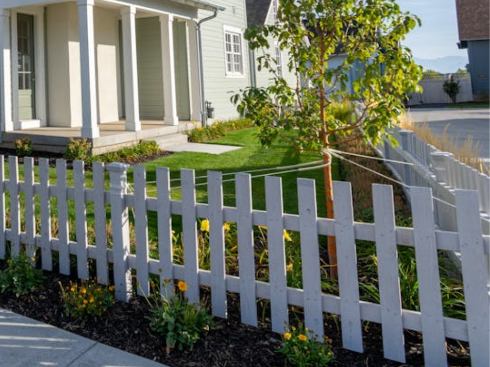 Side-by-side of a healthy landscape and one with mulch and plant mistakes—educational image about residential landscape design with tips from Honeycutt Landscaping Inc.